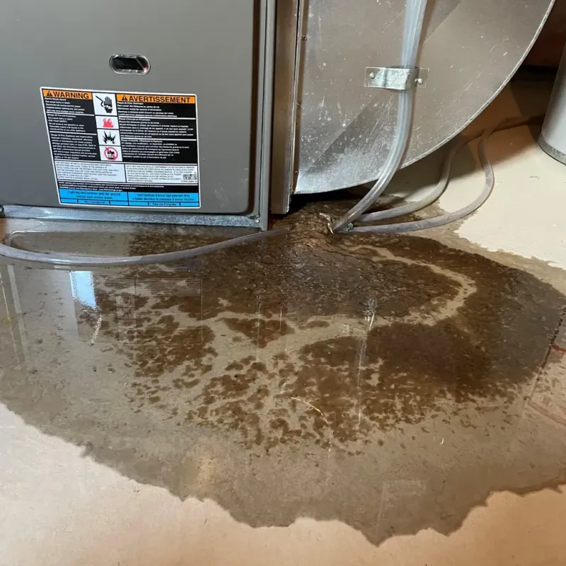 Appliance Leak Cleanup in Highpoint, OH