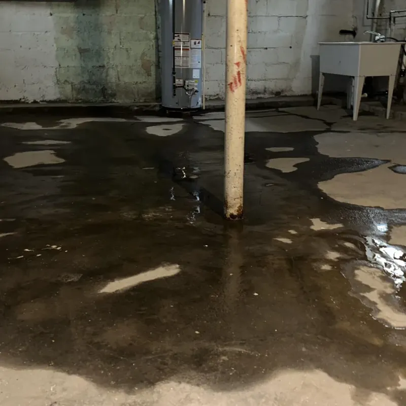 Emergency Water Extraction And Removal in Highpoint, OH